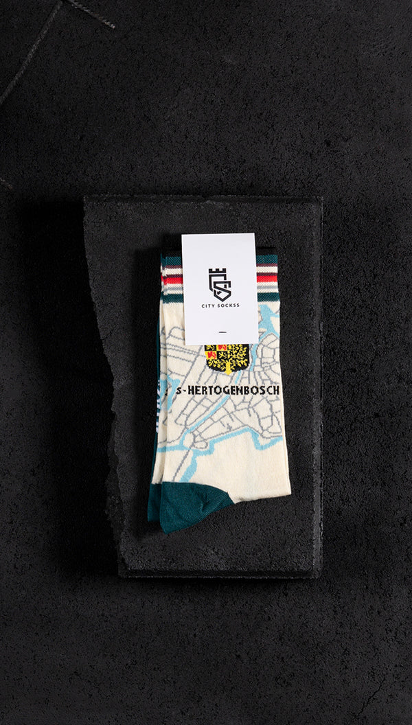 Den Bosch City Sockss
